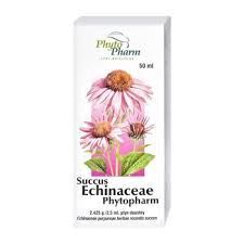 Succus Echinaceae Phytopharm płyn 50 ml